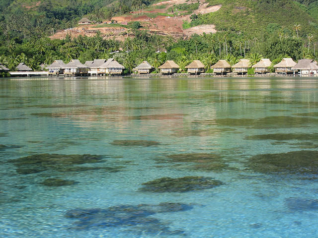Lots of coral in the water