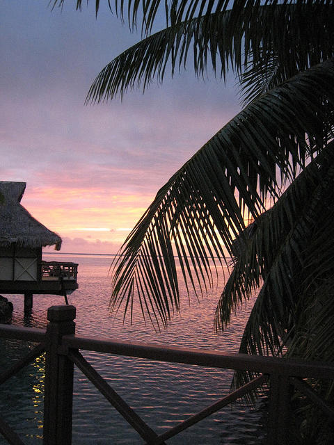 don't you wish you were here