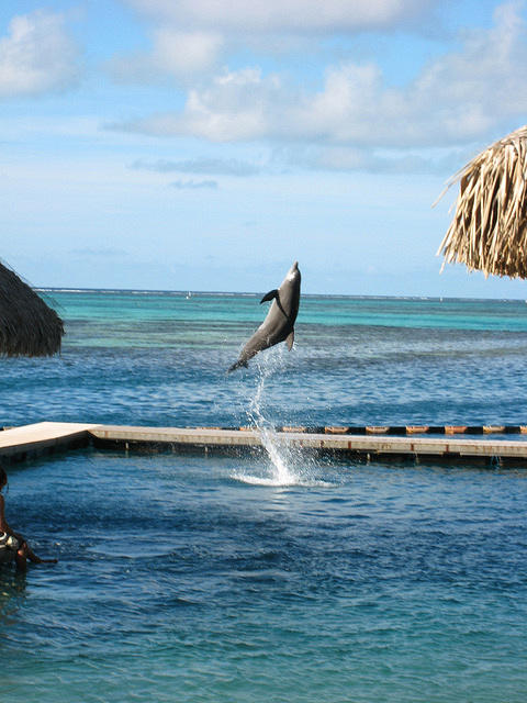 why pay to touch when you can watch for free  :)