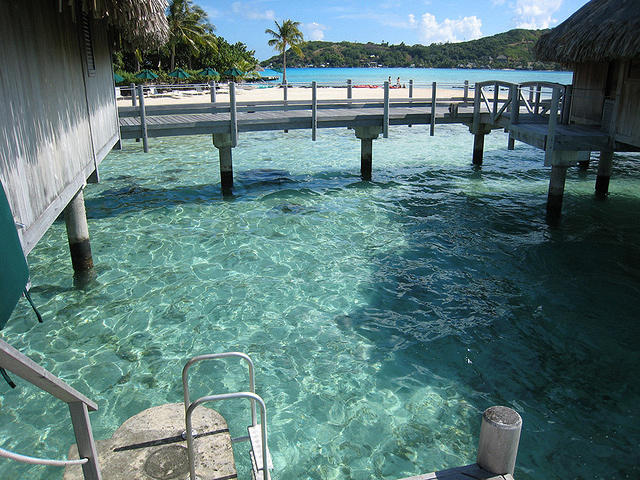 outside shower and ladder to get in and out of the water