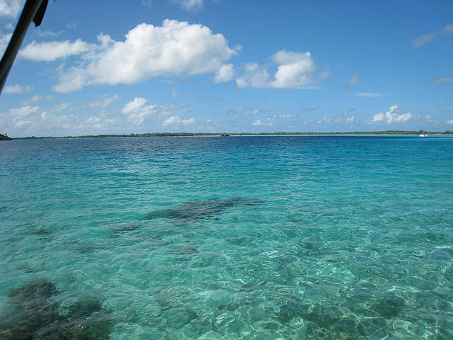 we had a some nice coral right off our bungalow - great for snorkling