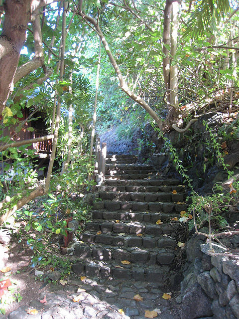 This path also leads to the garden bungalows