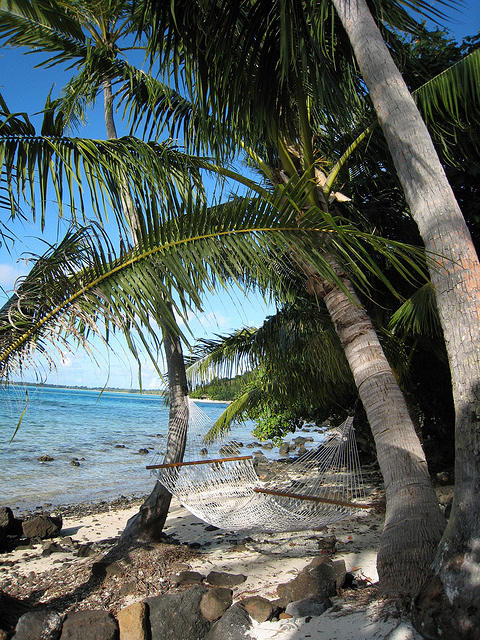 beautiful day in paradise