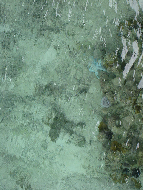 we look for him every morning