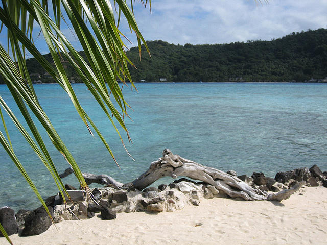 relaxing at the beach