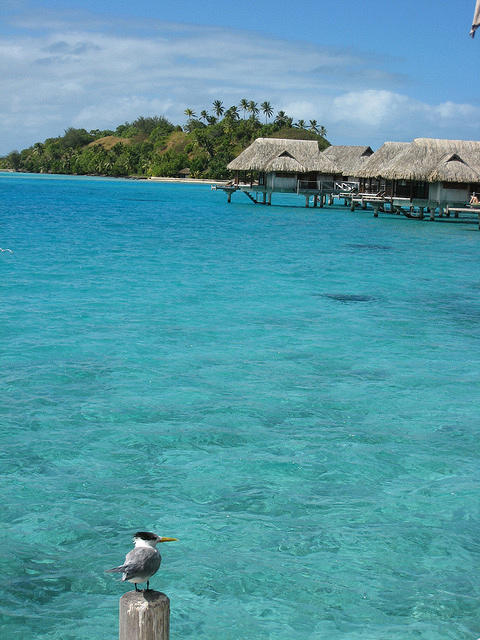 view from our bungalow patio