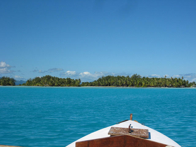 Boat ride to feed the stingrays