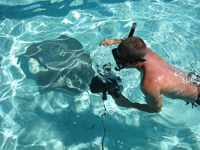 hurry back in the boat a shark is coming