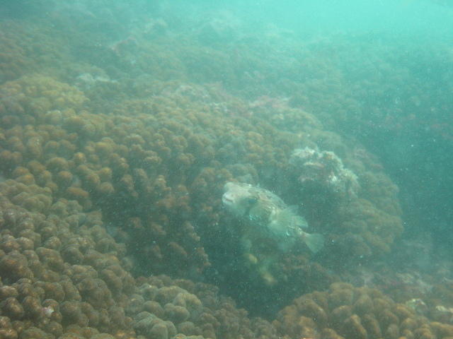 IMG_0663.JPG
