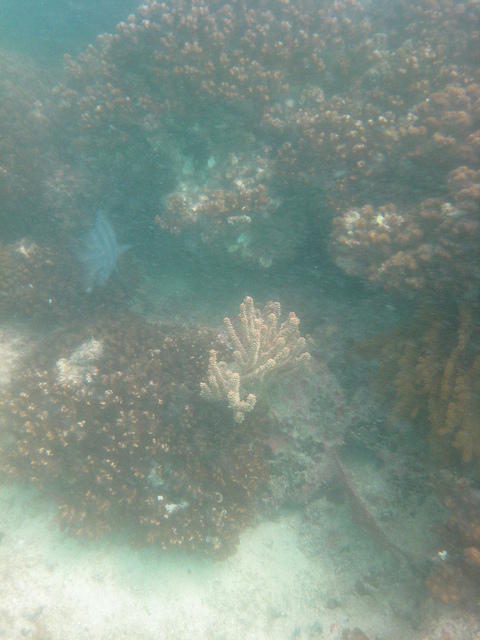 IMG_0666.JPG