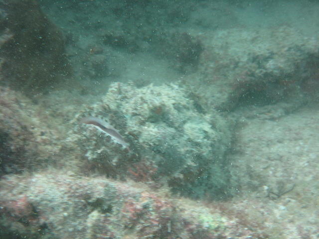 IMG_0668.JPG
