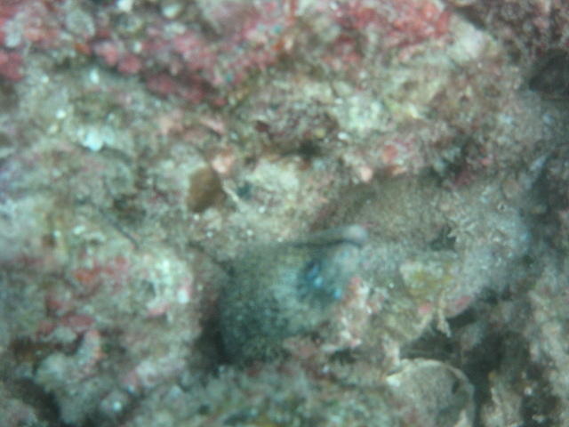 IMG_0670.JPG