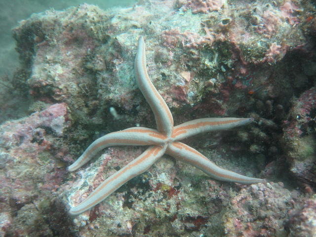 IMG_0675.JPG