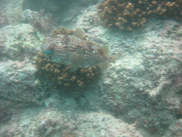 IMG_0679.JPG