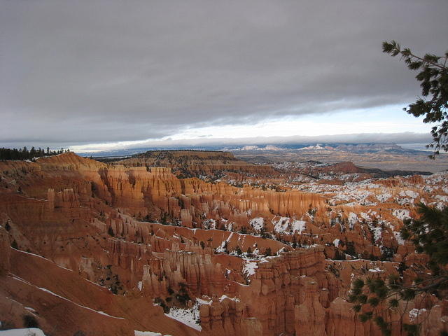 Bryce