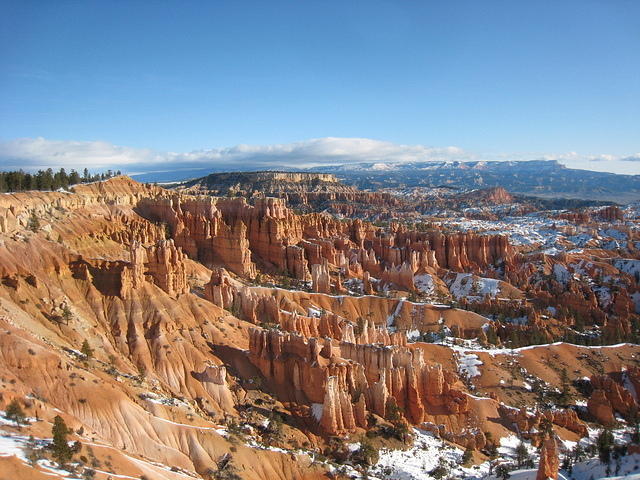 Bryce