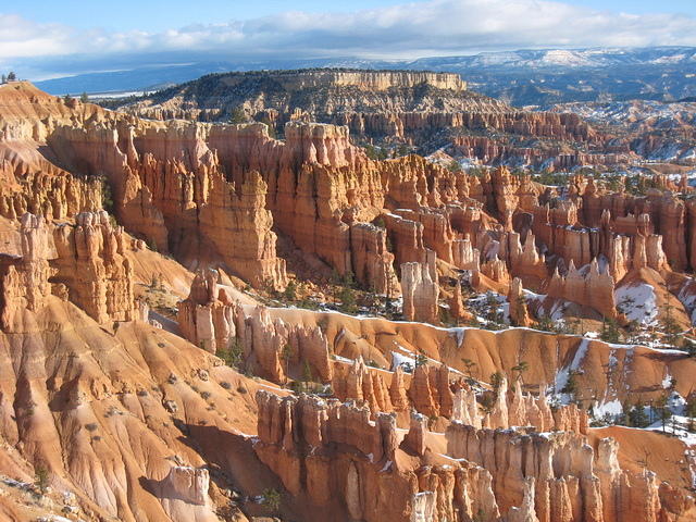 Bryce