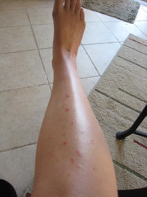 Leg on Monday - more spots