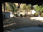 1600 Canyon Crest - backyard