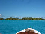 Boat ride to feed the stingrays