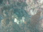 IMG_0673.JPG