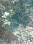 IMG_0674.JPG