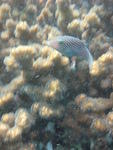 IMG_0678.JPG