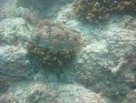 IMG_0679.JPG