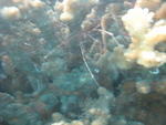 IMG_0681.JPG