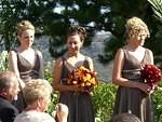 the bridesmaids
